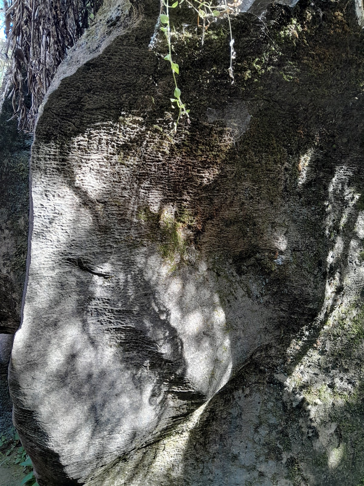 Near Takaka ~ Thursday, 5 March